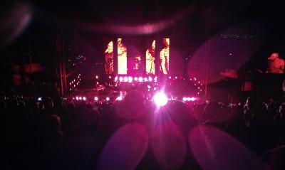 picture #41