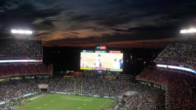 picture #61