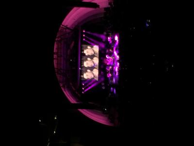 picture #9