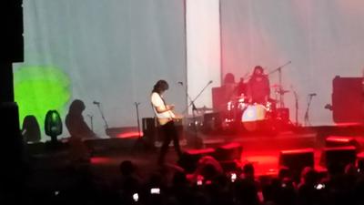 picture #8