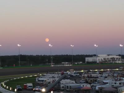 picture #5
