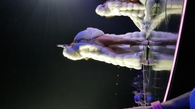 picture #26
