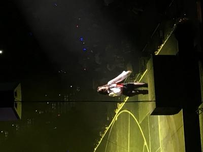 picture #6