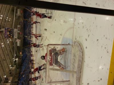 picture #7