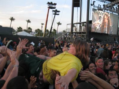 picture #28