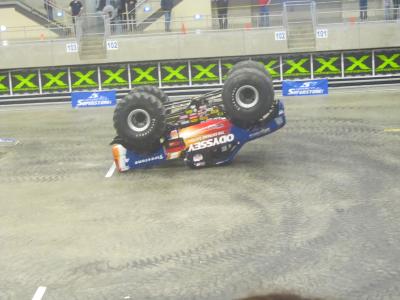 picture #35