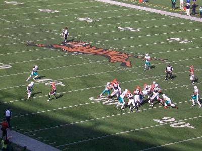 picture #47