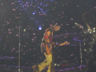 picture #12