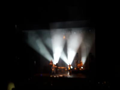 picture #9
