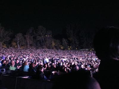 picture #5