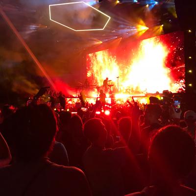 picture #7
