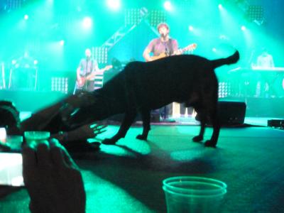 picture #69