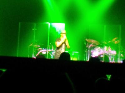 picture #11