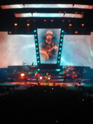 picture #33