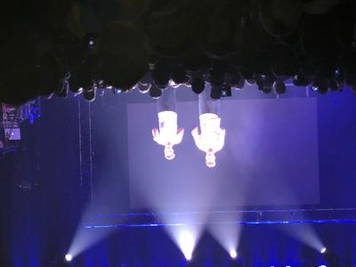 picture #4