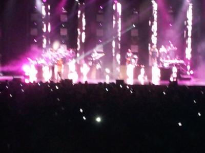 picture #8
