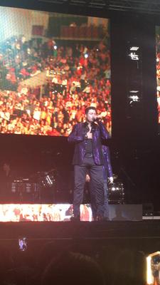 picture #8