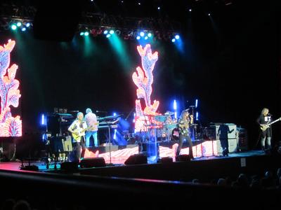 picture #11