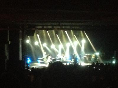 picture #8