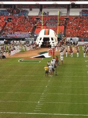 picture #8