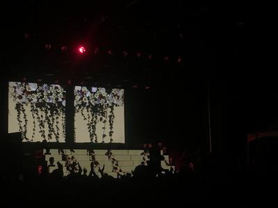picture #49