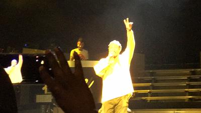 picture #18
