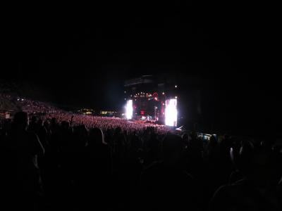 picture #9