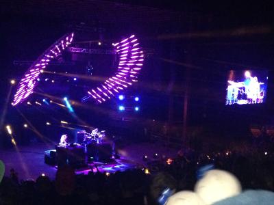 picture #5