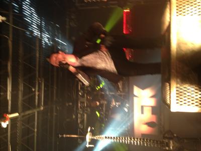 picture #8