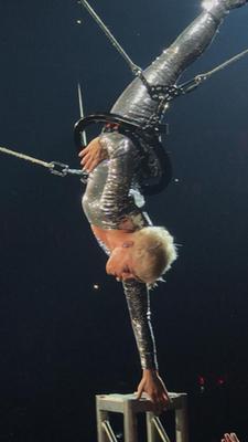 picture #51