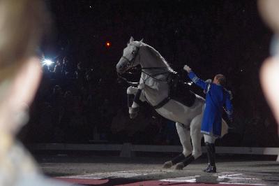 lipizzaner stallions tour 2022 uk