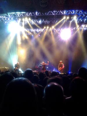 picture #13