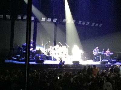 picture #27