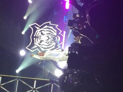 picture #39