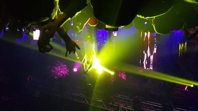picture #11