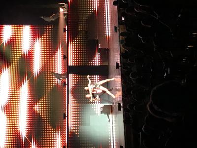 picture #4