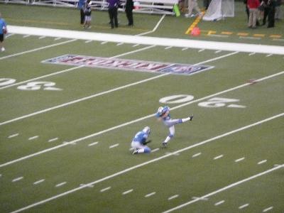 picture #8