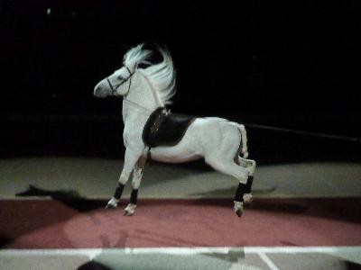 picture #15