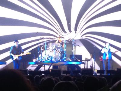 picture #27