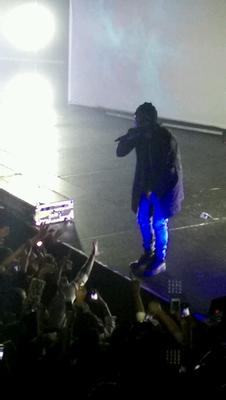 picture #8