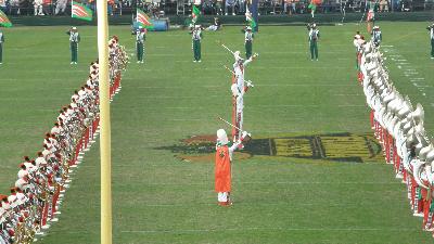 picture #20