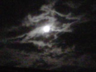picture #28