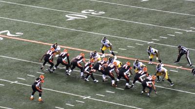 picture #39
