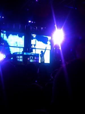 picture #32