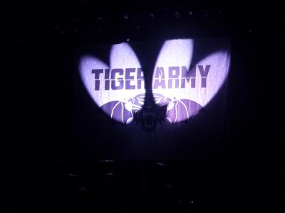 picture #10