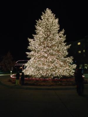picture #1