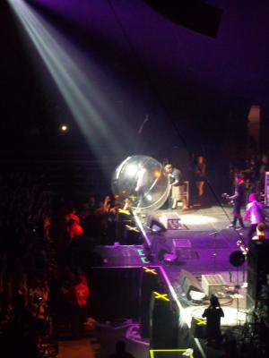 picture #39