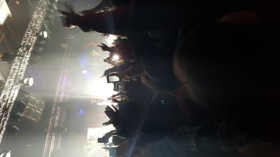 picture #9
