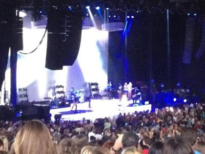 picture #11