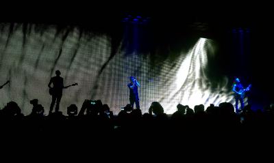 picture #15